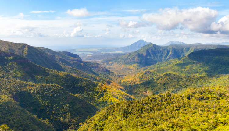 parc national des gorges de rivière noire île maurice