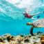 plus beaux spots de snorkeling île maurice