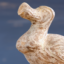 dodo île maurice histoire